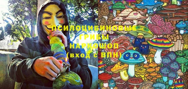 spice Алексин