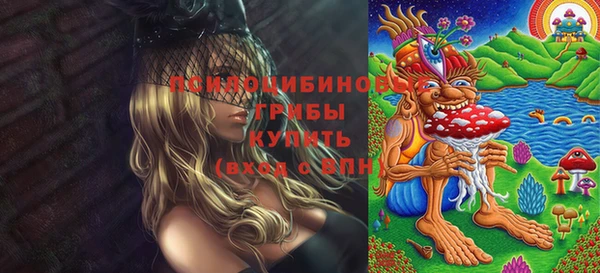 spice Алексин