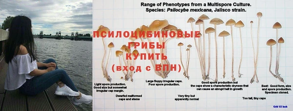 спиды Протвино