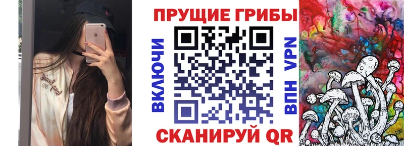Псилоцибиновые грибы GOLDEN TEACHER MEGA ссылки Тара что такое наркотик